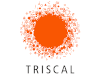 TRISCAL